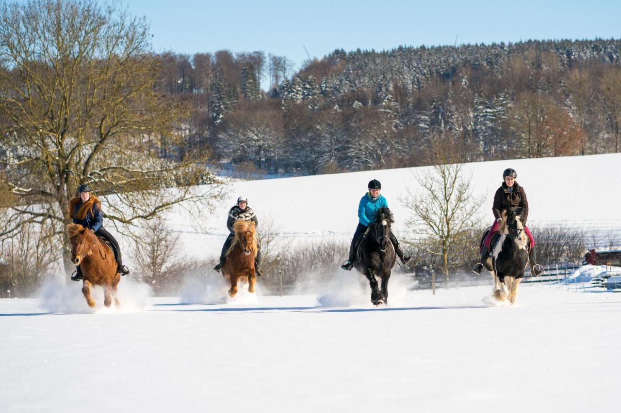 Ferienhof Homann Sauerland Брилон Екстериор снимка